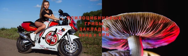 мет Алзамай