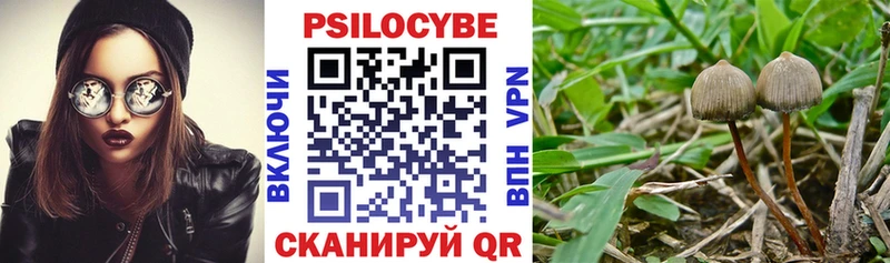 даркнет сайт  гидра сайт  Псилоцибиновые грибы Psilocybine cubensis  Катайск 